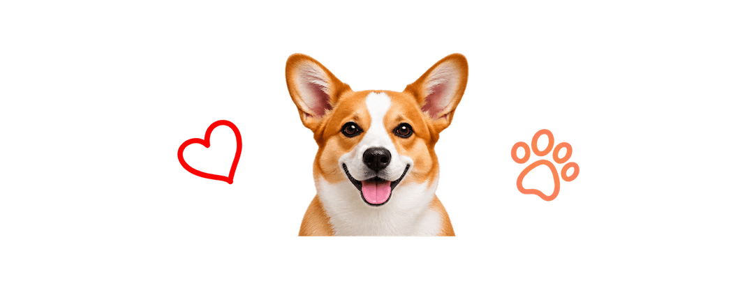 Happy pets