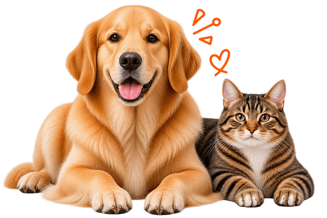 Dog, cat and beagle ready for grooming