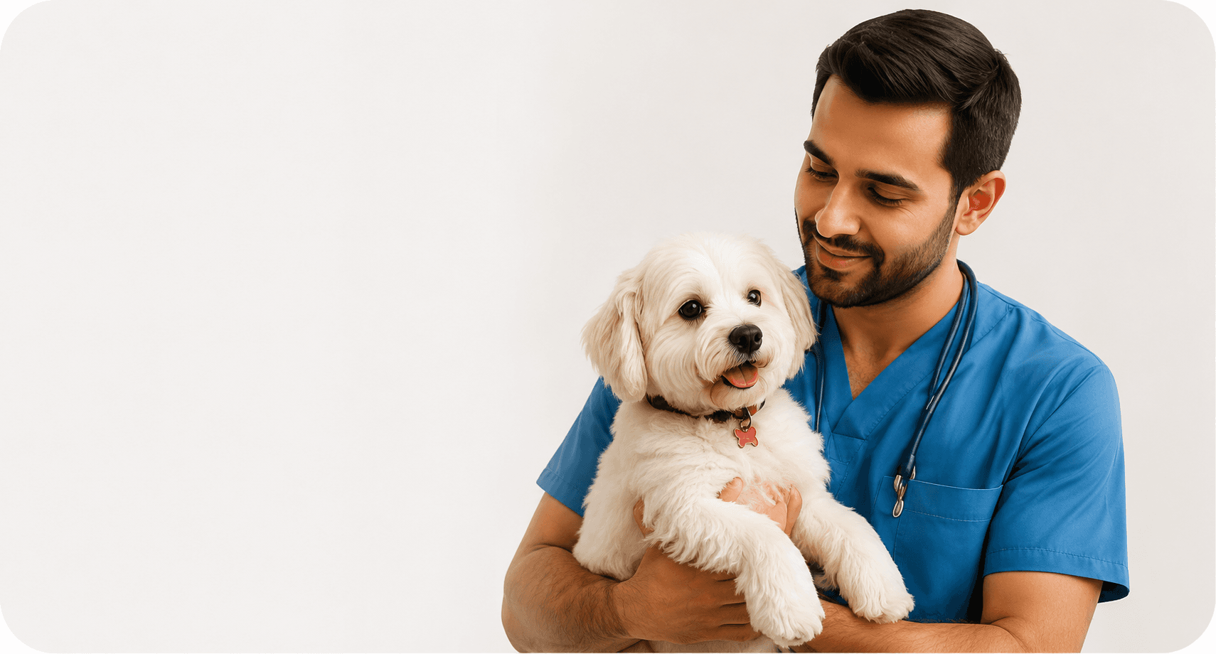 Veterinary Consultation