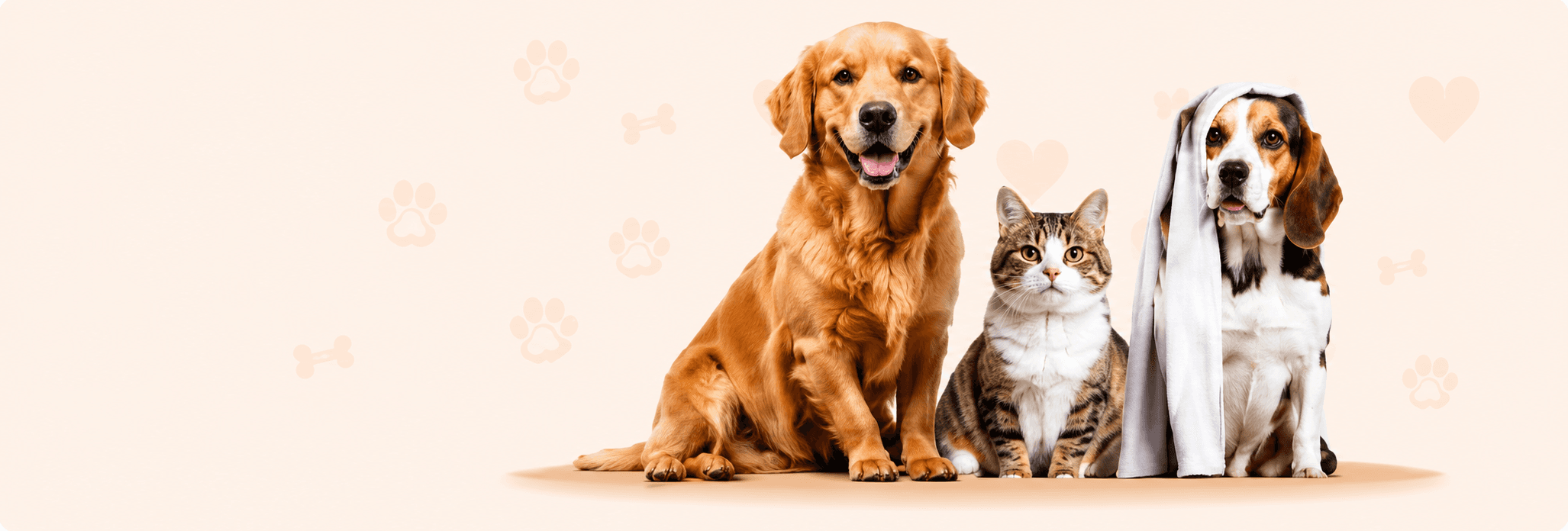 Happy Pets, Happy Hearts
